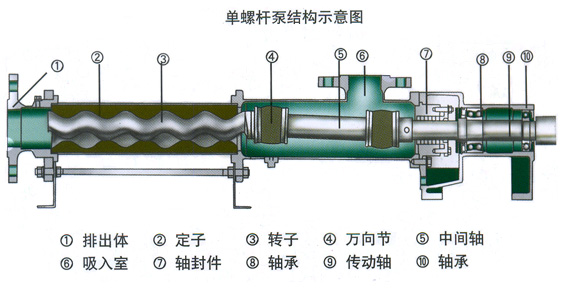 单螺杆泵结构示意图