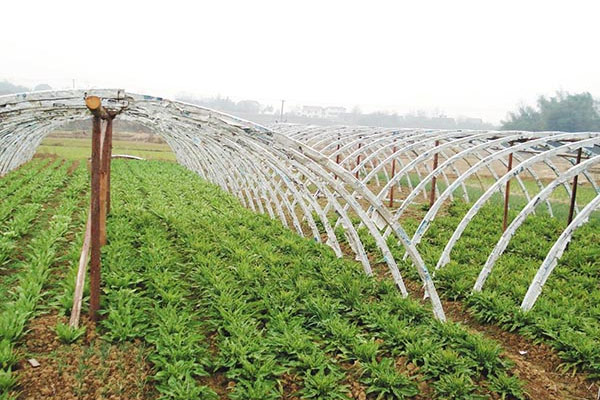 農田灌溉案例
