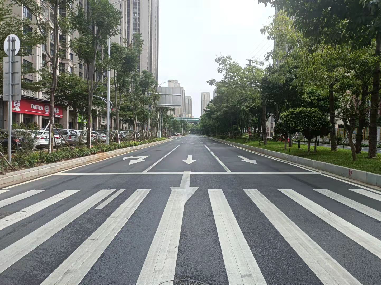 中央大街【桂瀾路-環路段】雨污水管道更換及道路修復工程
