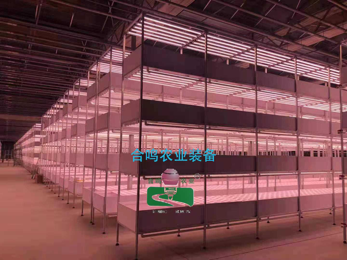 昌吉国家农业博览园项目用灯