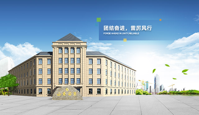 山东省工业设备安装集团有限公司