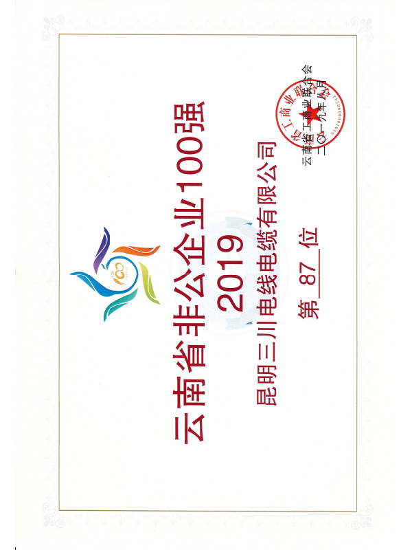 2019云南省非公企業100強