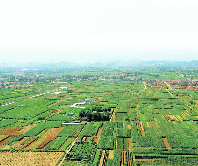 武邑县—农业之乡环卫保洁项目
