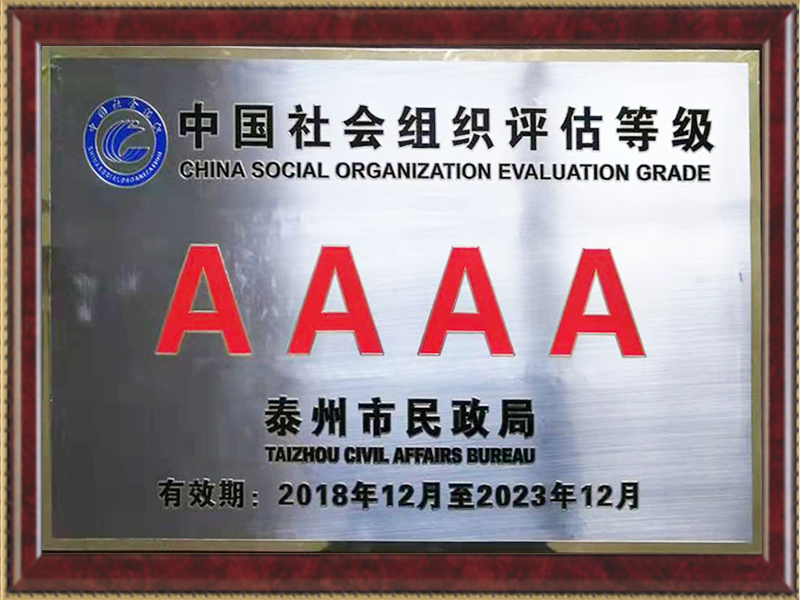 中國社會組織4A等級評估