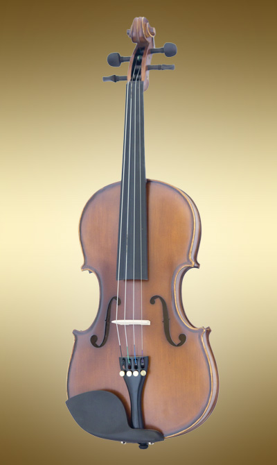 Violin Student Model