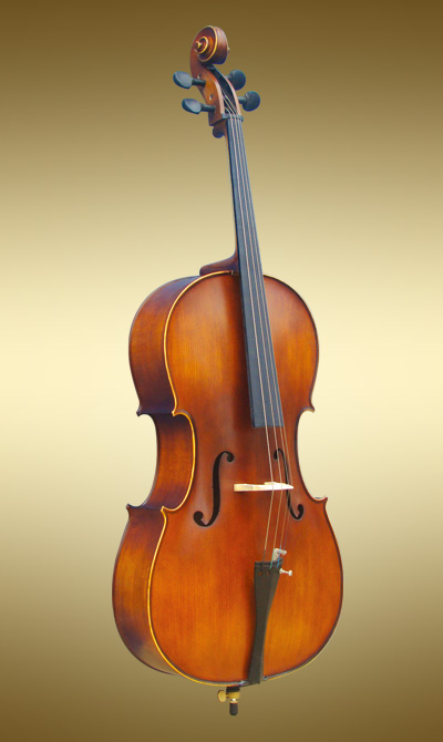 大提琴學生模型