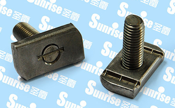 Stainless Steel and Steel T Bolts