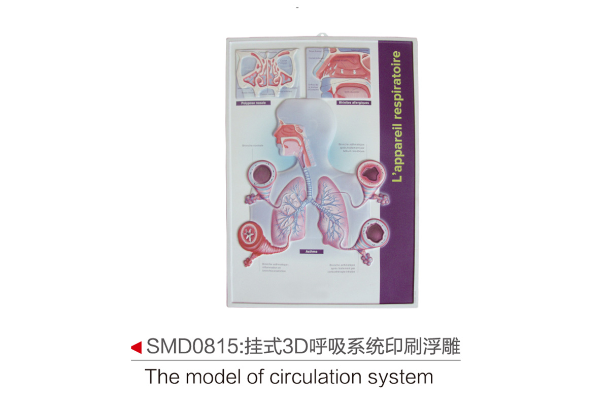 SMD0815：掛式3D呼吸系統印刷浮雕