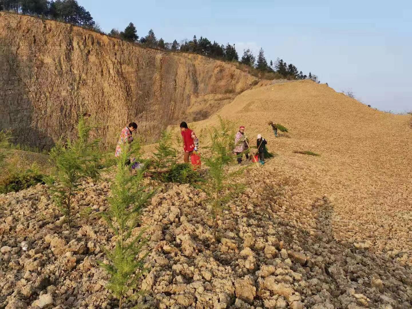 湖北省長江干支流兩岸10公里范圍內廢棄礦山生態修復項目